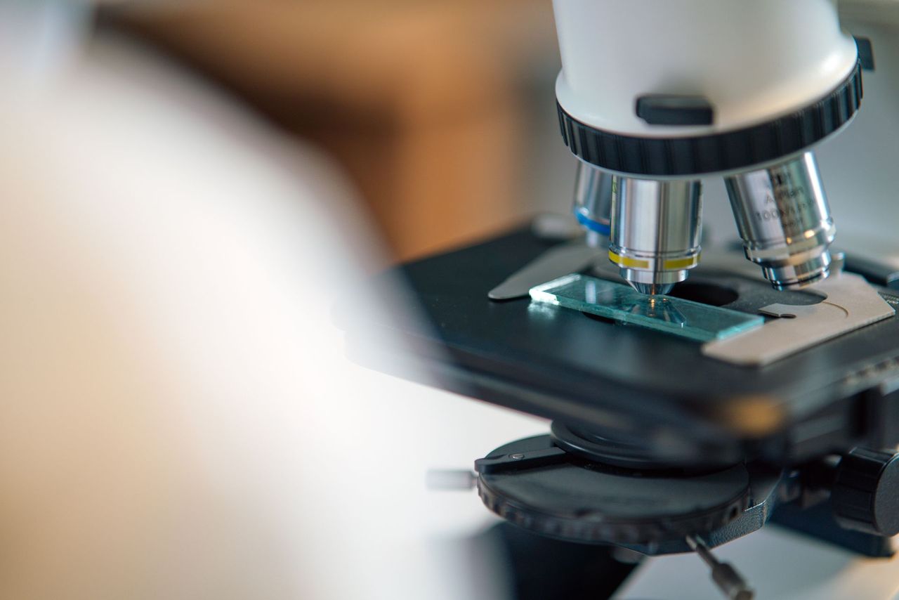 Microscope de laboratoire pour la recherche et le développement
